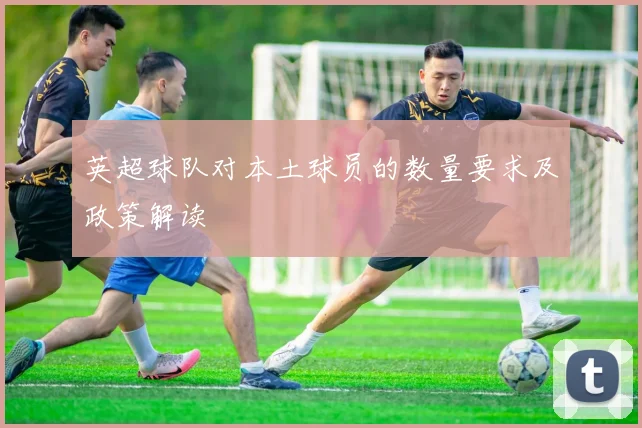 英超球队对本土球员的数量要求及政策解读