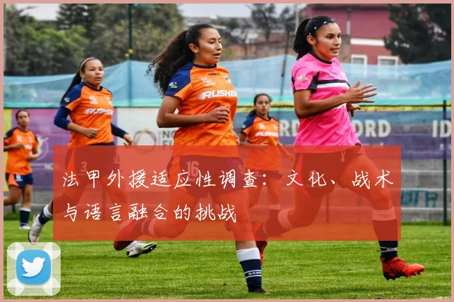 法甲外援适应性调查：文化、战术与语言融合的挑战